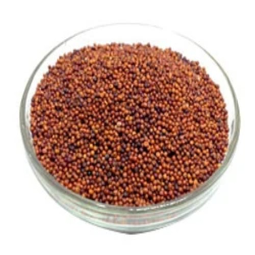 Finger Millet (Ragi)